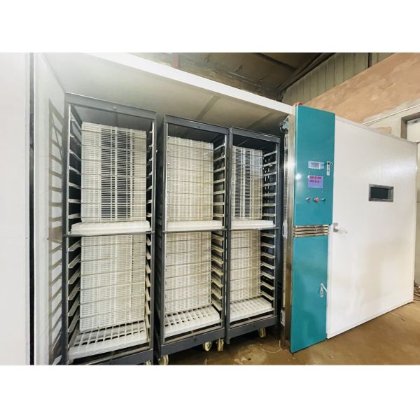 Automatic Large Scale Chicken Egg Hatching Machine Hatching Rate 98%
