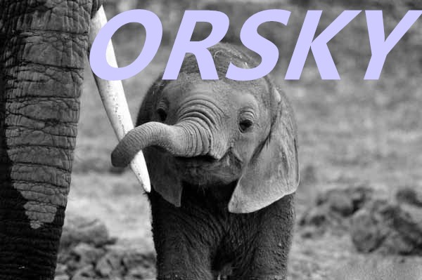 Professional Compact Hunting Binoculars 42mm Objective Diameter 10x Magnification