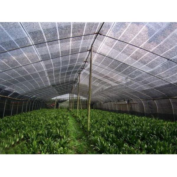 100% HDPE Sun Shade Netting 30gsm 6m Width Plastic For Agriculture