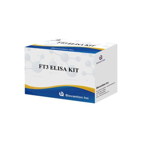 Buy FT3 Elisa Test Kit 110 Minutes Free Triiodothyronine T3 Free Blood Test at wholesale prices