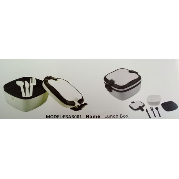 FBAB001 2 layers PP plastic lunch box with fork spoon knife inside locks on side