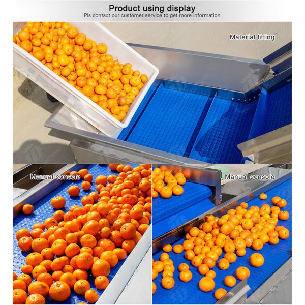 1500KG/H Fruit And Vegetable Processing Line cleaning Sorting Machine