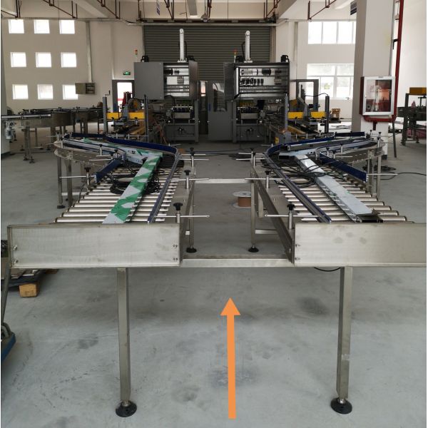 Safety Protection Automatic Case Packer Machine With Suction Cups Gripper