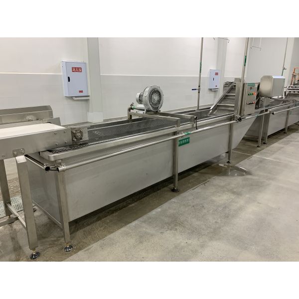 Semi Automatic Fruit Vegetable Processing Line With PLC Control System