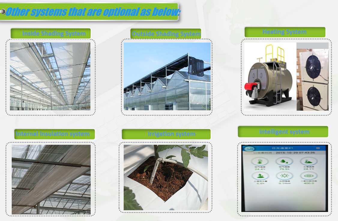 Galvanized Steel Frame Greenhouse multi span greenhouse Film Covering Space Efficient