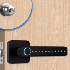 China Zinc Alloy Tuya APP Smart Lock Password Keyless Electronic Home Door Lock on sale