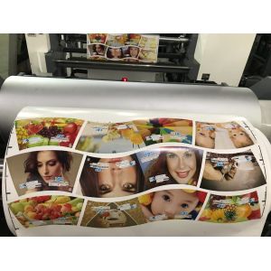 Paper Bag Printing Press with Customized Request Ceramic Anilox Roller