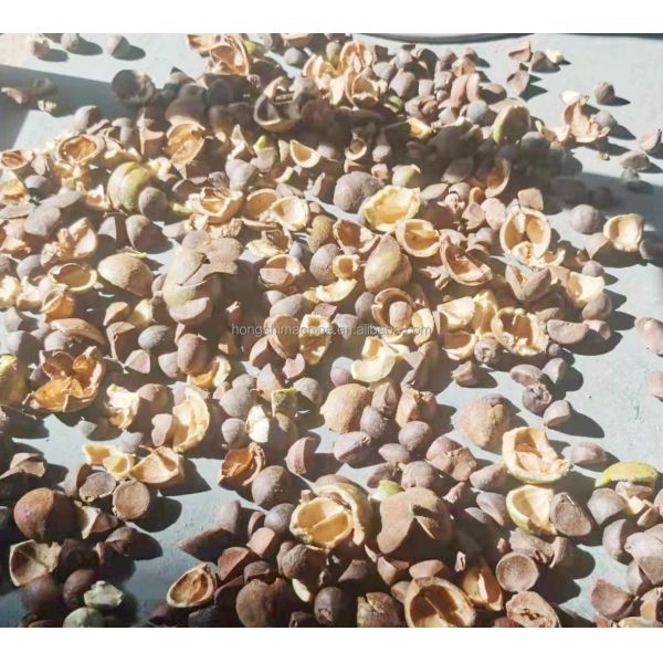 Camellia Seed Shelling Sorting Automatic Food Processing Machine Commercial