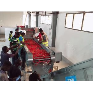 Quality SUS304 Industrial Automatic Tomato Processing Line For Paste Making for sale