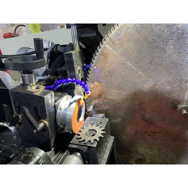 Full Automatic CNC Double Grinding Head Side Angle Gear Saw Blade Grinding Machine LDX-028A