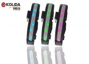 China LED Flashing Light Dog Collar and Leash Safety Pet Dog Puppy Collar Lead in Night on sale