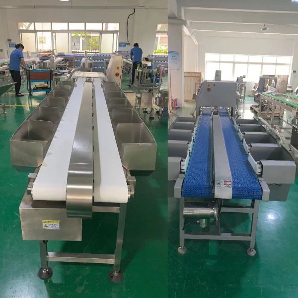 Chicken Weight Grading Machine