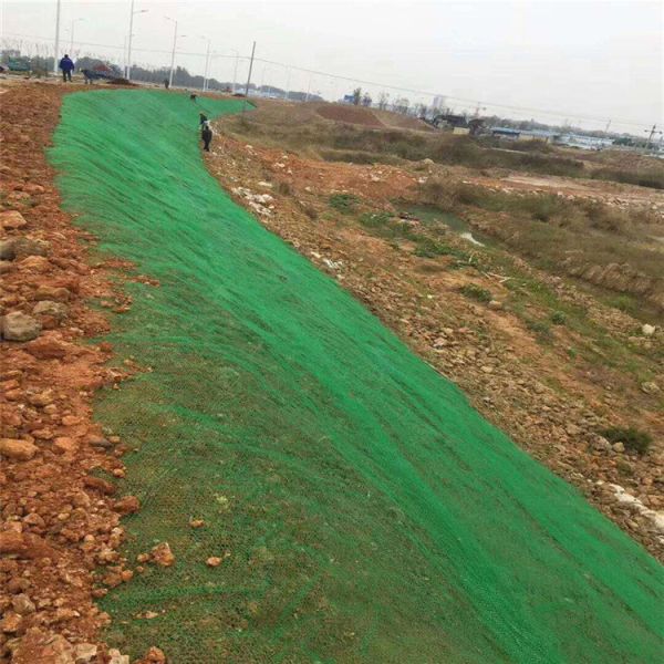 Modern Design High Tensile Strength Super CMD Mountain Slope Protection 3D Geomat