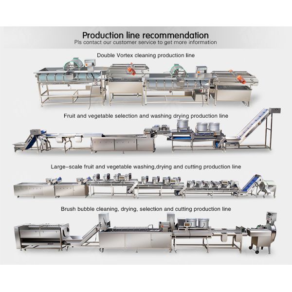 1500KG/H Fruit And Vegetable Processing Line cleaning Sorting Machine
