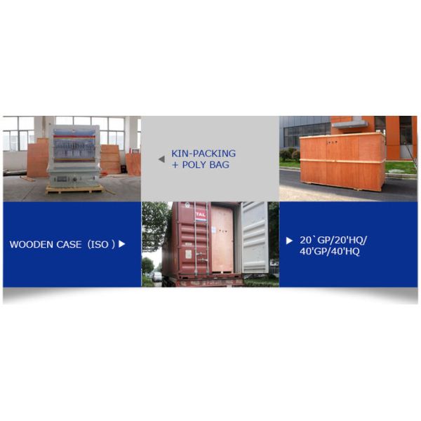 LYL Detergent Pump Capping Machine