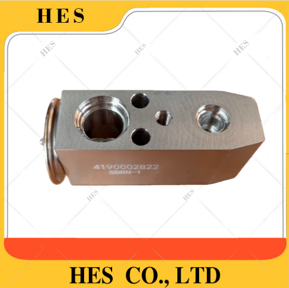 4190002822 AC VALVE