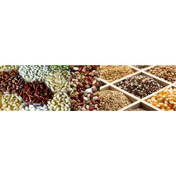 Stainless Steel Vertical Packaging Machine , Rice Packing Machine With Volumetric Cups
