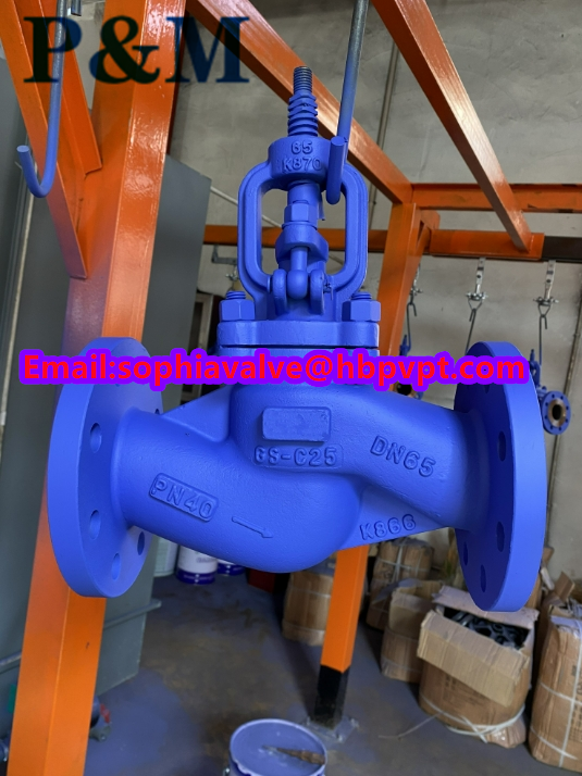 DIN PN40 GS-C25 bellows globe valve