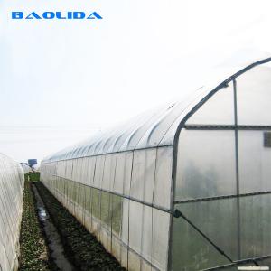China 200 Micron Pe Film Greenhouse Agricultural Tomatoes Growing Tunnel Plastic Greenhouse on sale