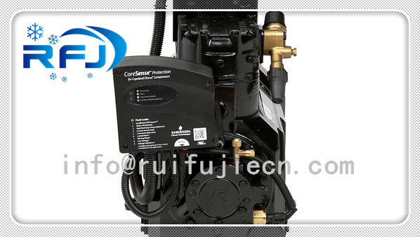 DWN compressor DLL-30X Germany compressor refrigerator compressor