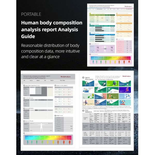 Multiple Language Fat Scale Protein Inorganic Testing Body Composition Analyzer Machine