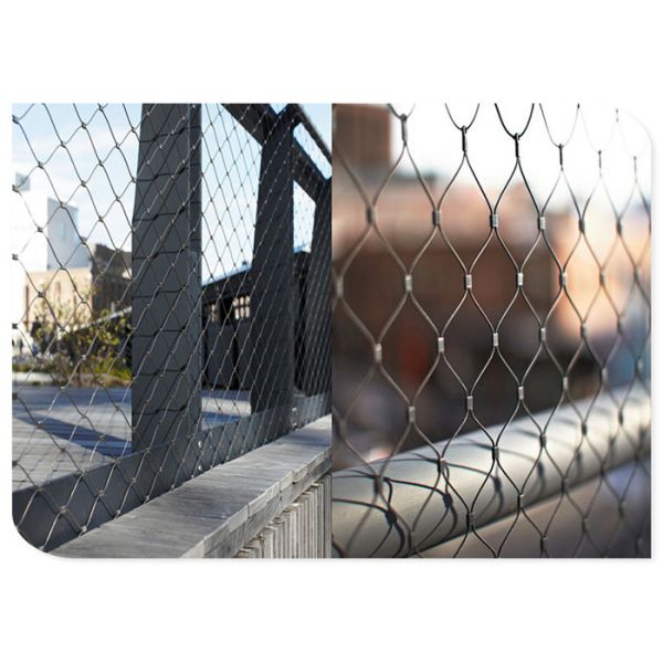 Customizable steel cable mesh in various sizes ensuring adaptability for architectural