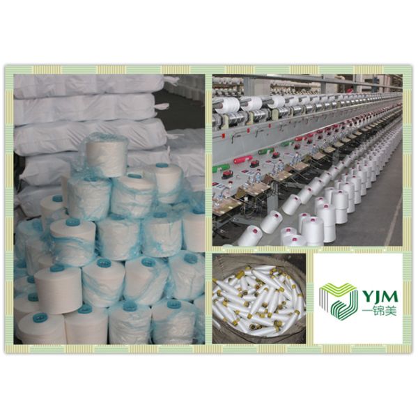 Knotless 100% Polyester Twisted Yarn On Paper Core / Plastic Tube For Garment