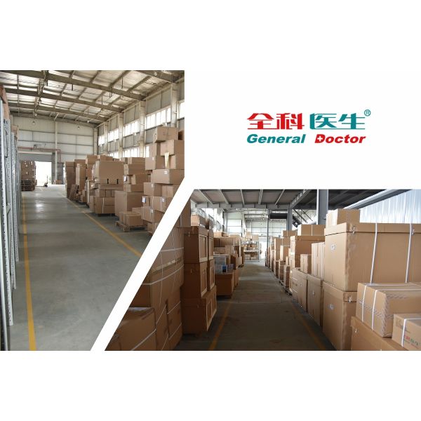 ISO 14001 Kidney Human Anatomy Model For Colleges Training