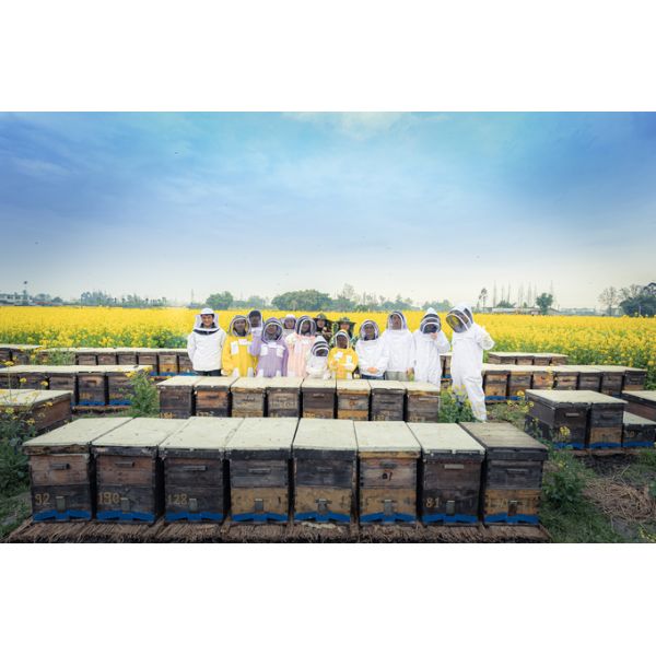 Dadant Size 3 Frames 304 SS Manual Honey Extractor With Brake Function