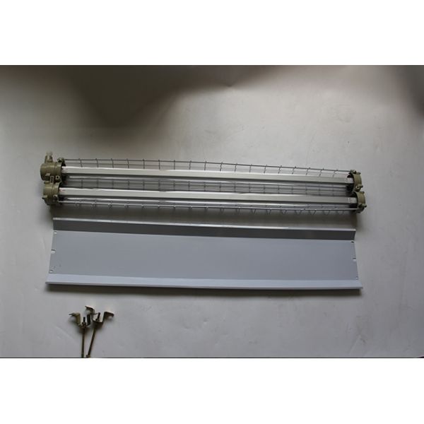 Double Tube Explosion Proof Fluorescent Light 4 Foot 0.6m 1.2m 220V T8 Led Linear Luminaires