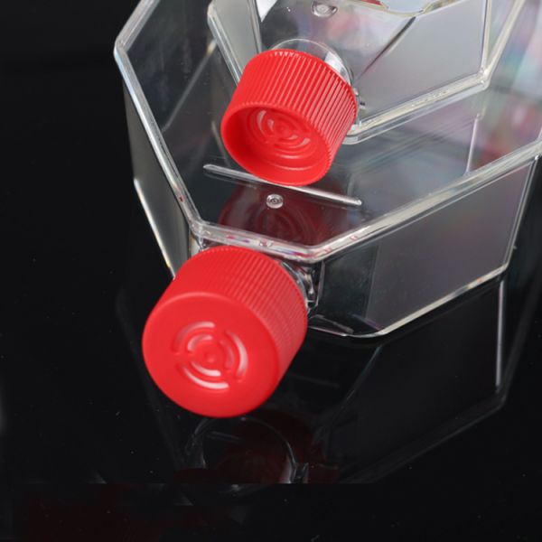 cell culture flask CE And ISO Certification Laboratory Plastic Cell Tissue Culture Flask