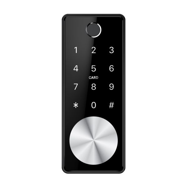 Smart Electronic Door Locks Bluetooth Remote Control Digital Fingerprint With Automatic Deadbolt