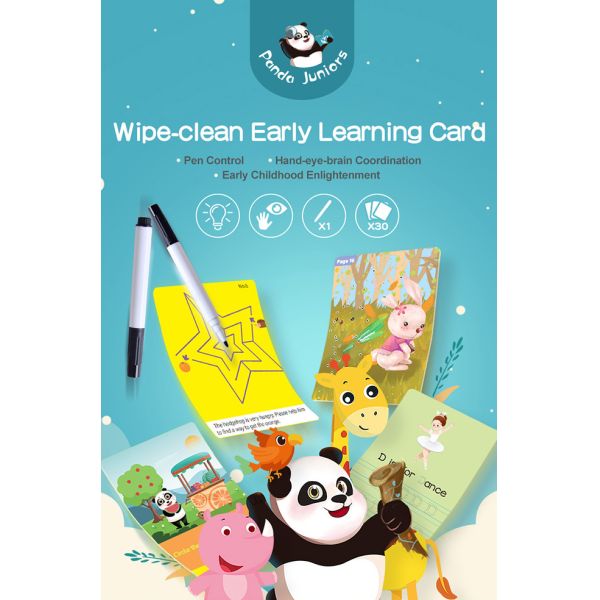 Brain Development Early Learning Flash Cards