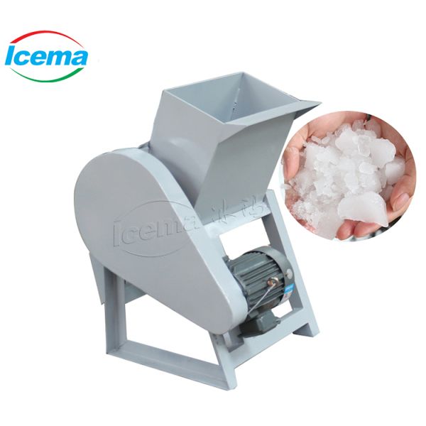9T/h Capacity Portable Stainless Steel ICEMA Mini Ice Maker Machine For Fresh Keeping