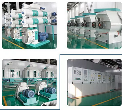 Animal Feed Cow Robbit Chicken Feed Pellet Making Machine Ring Die Type 5t/h